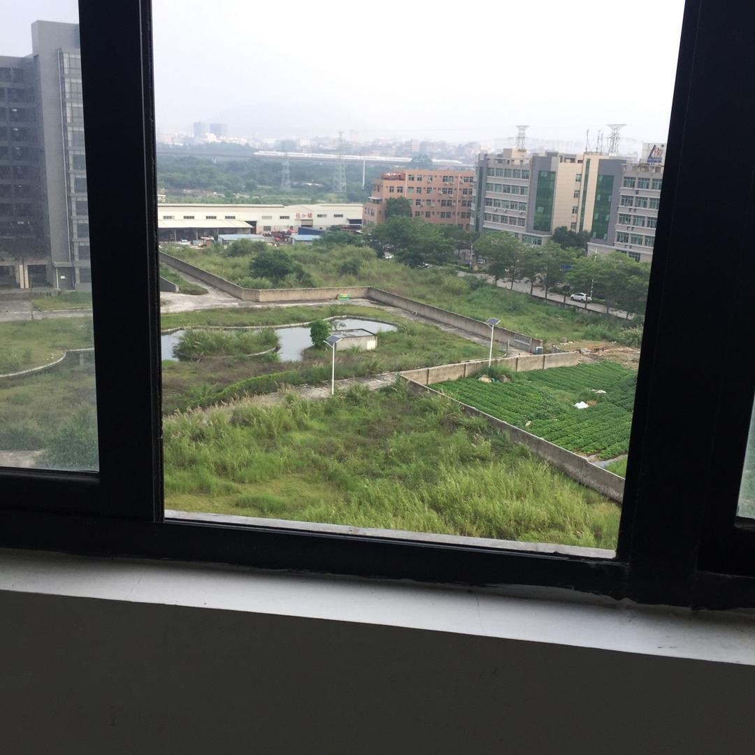 A一杨榮○