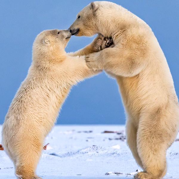 兵哥哥——金牛管海尔热水器厨房电器