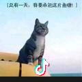 🌈向阳花