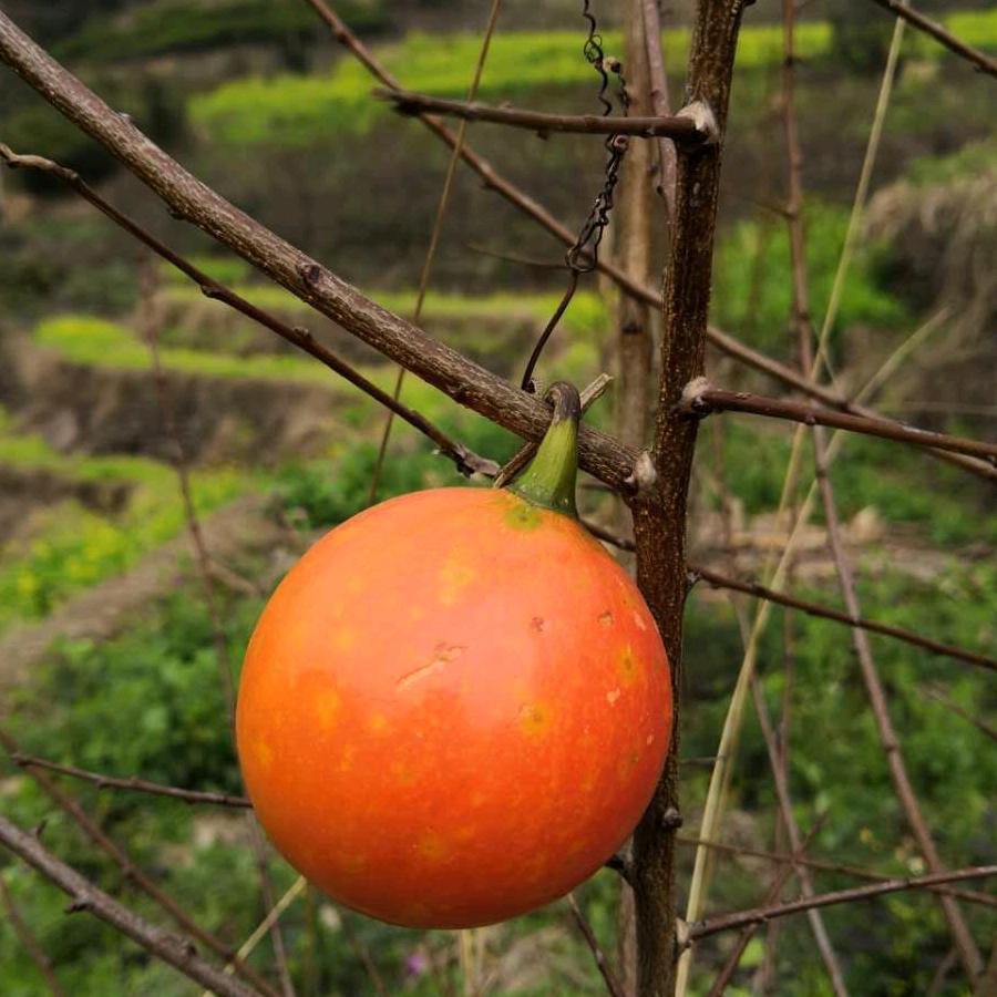 @洪利手机数码！