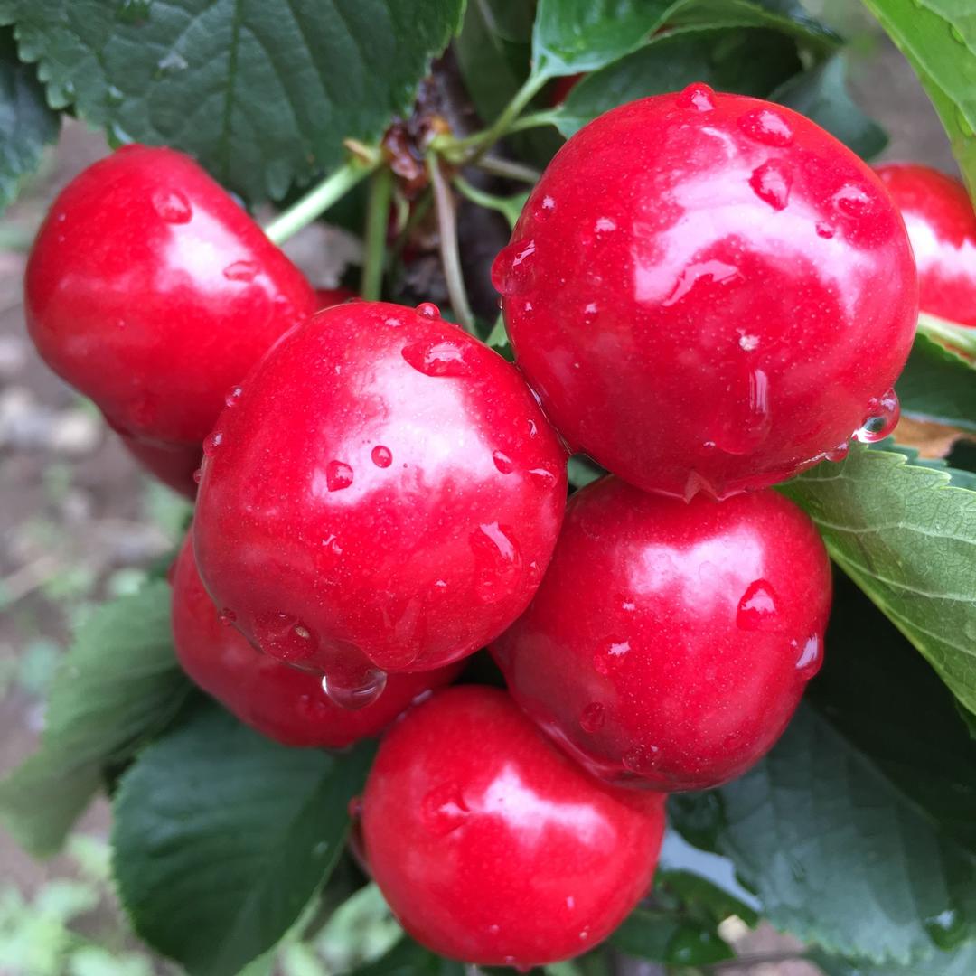 刘惠君(萍水相逢)