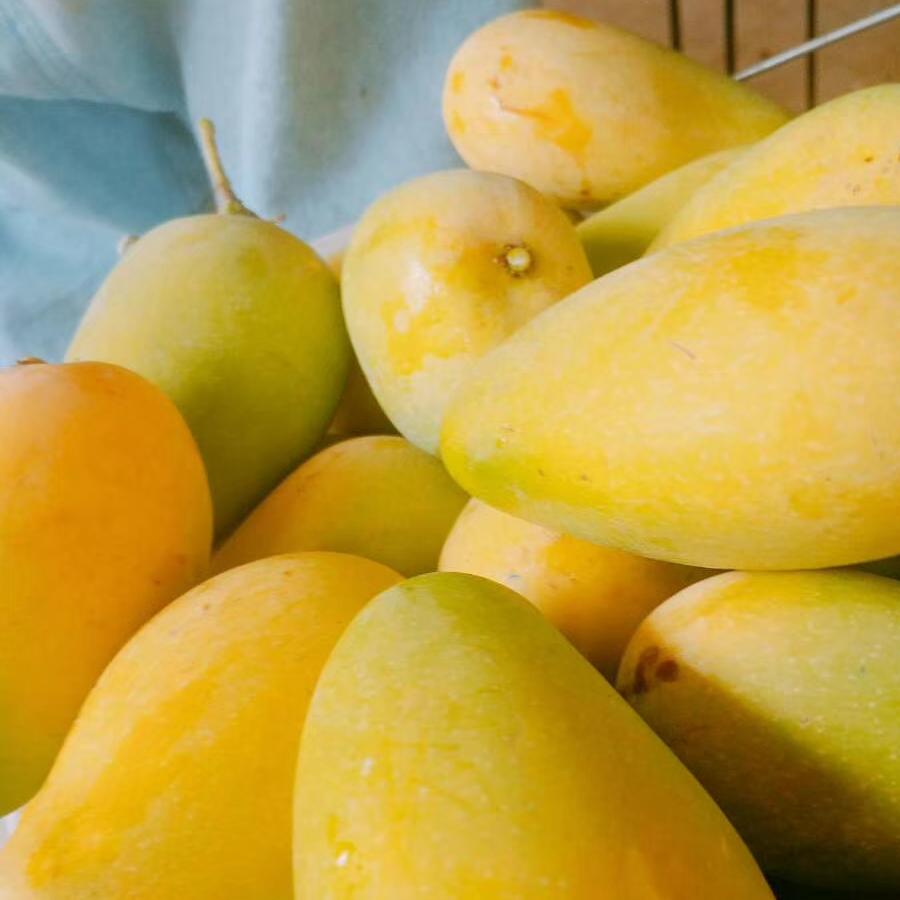 ⭐️我那该死的温柔⭐️