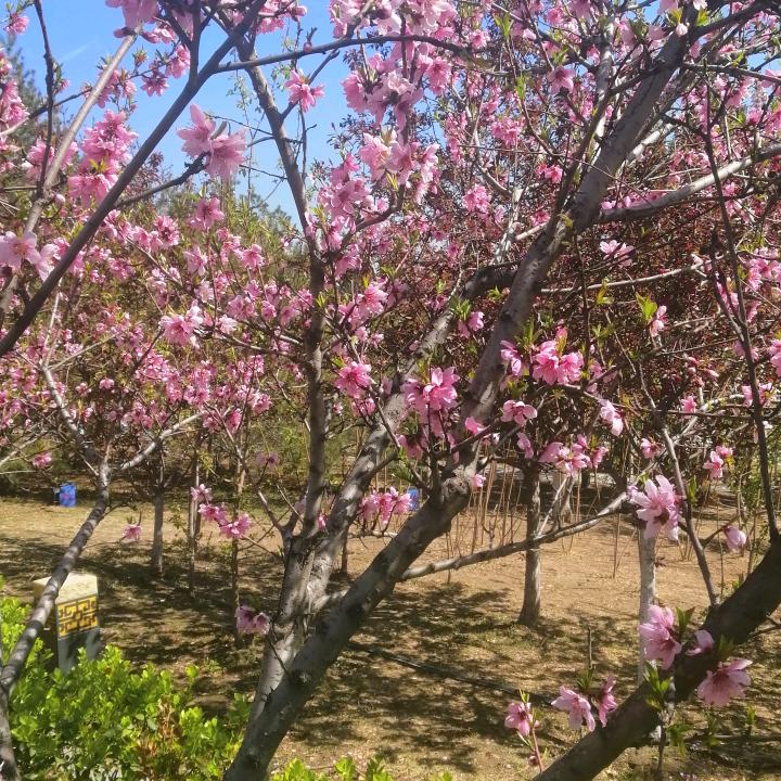 朋友又见面了，来个👍