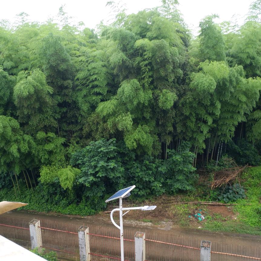 感恩