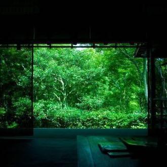 自由空间之门