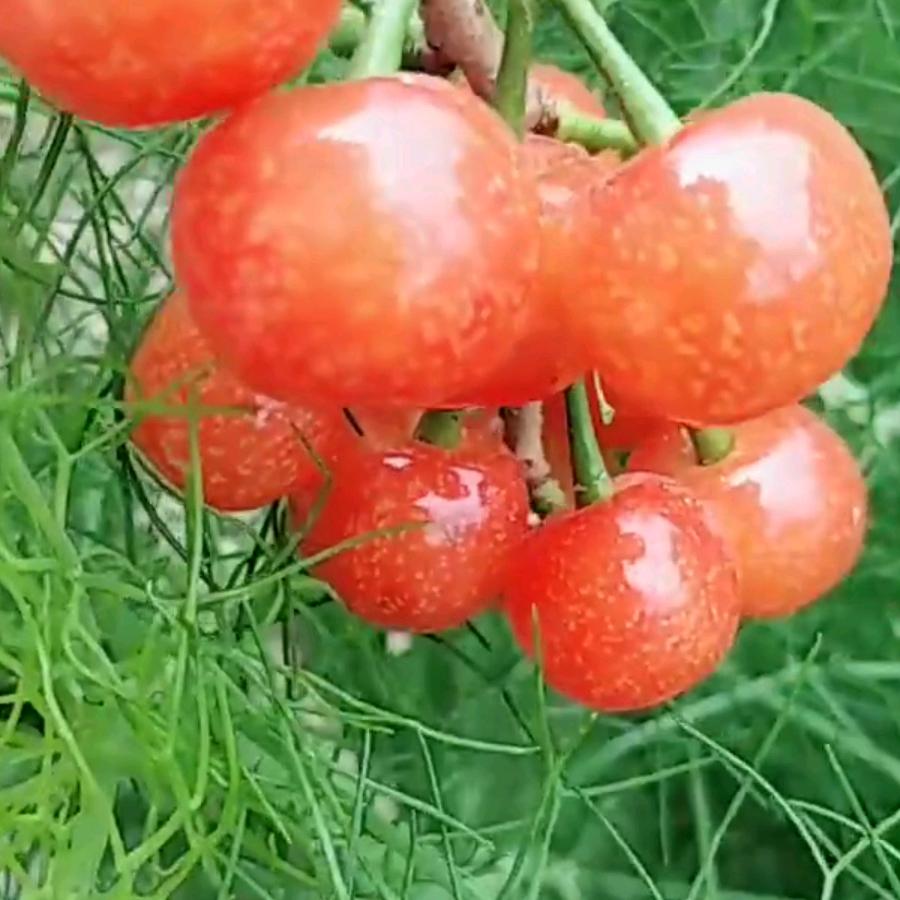 $与你仝（同）行～