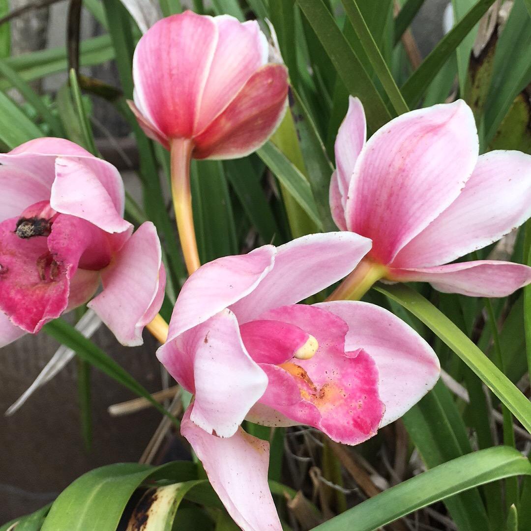 做个没心没肺的人