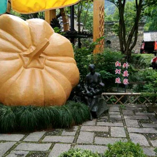 姚瑶