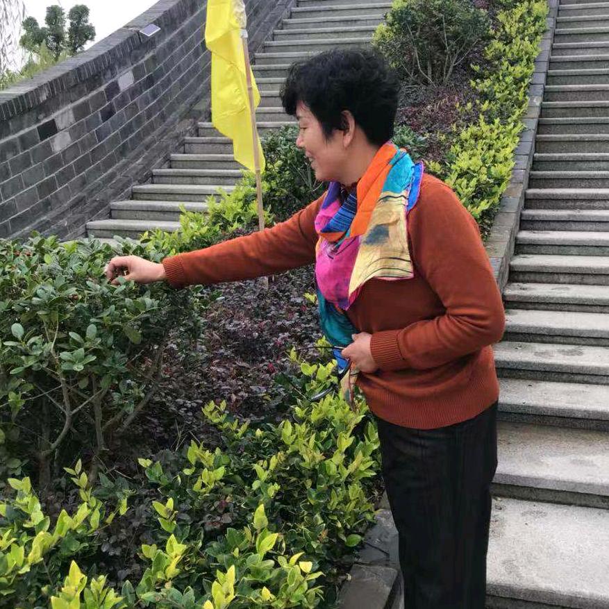 凤英