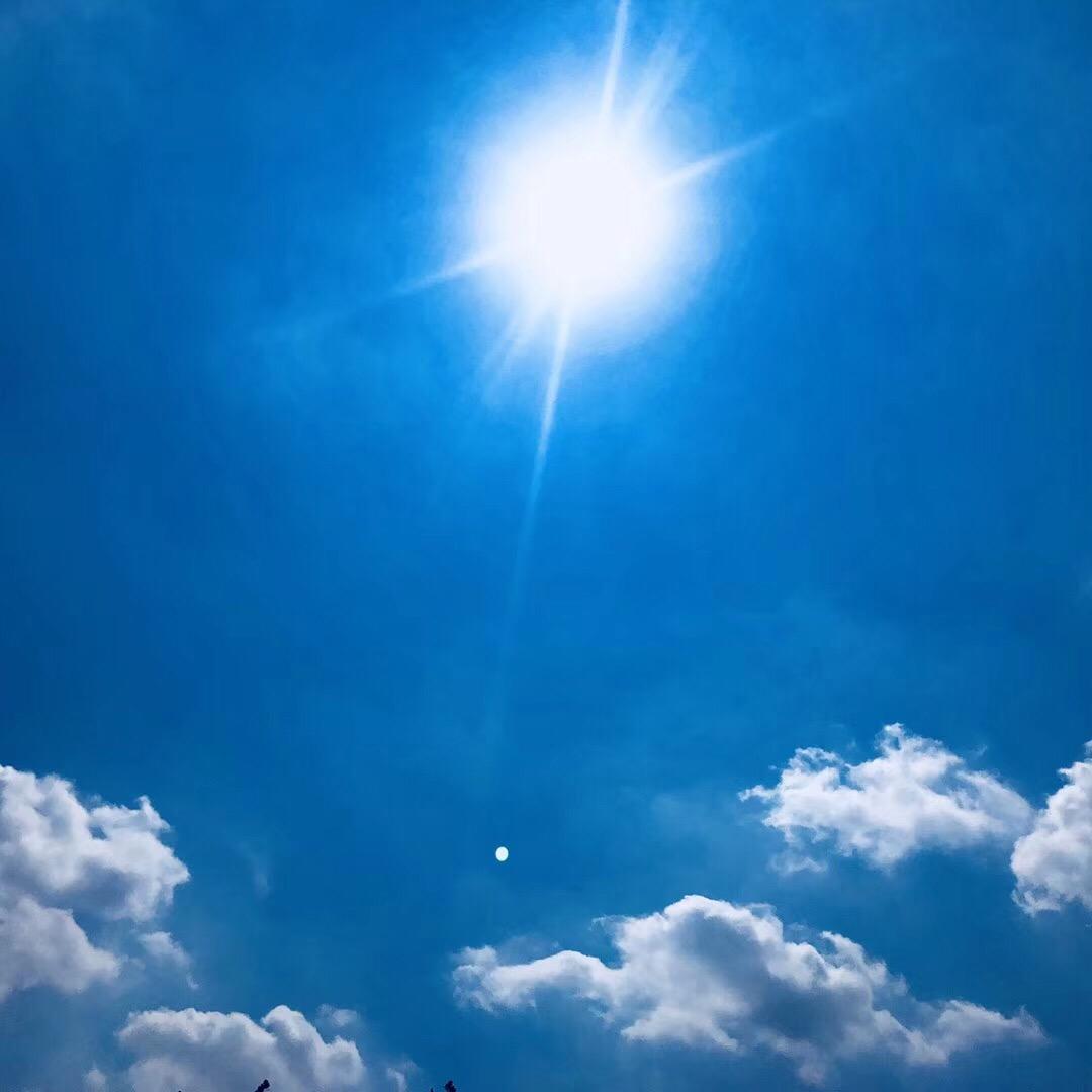 心向阳光*😍**😍*