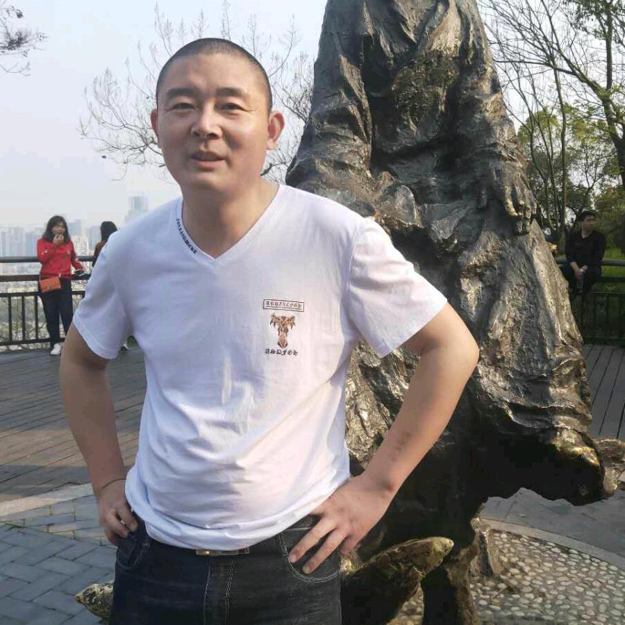 龙在江湖