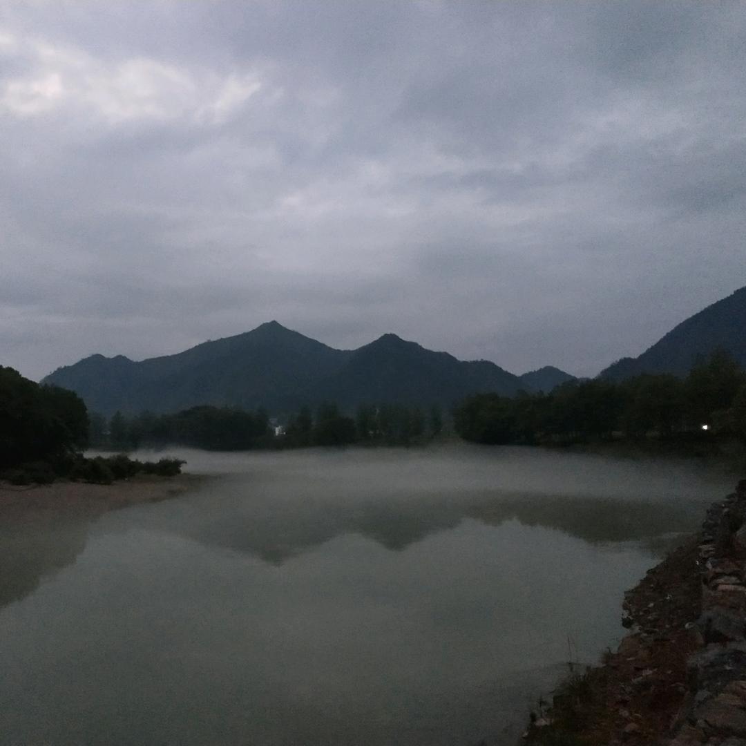 行走的骆驼