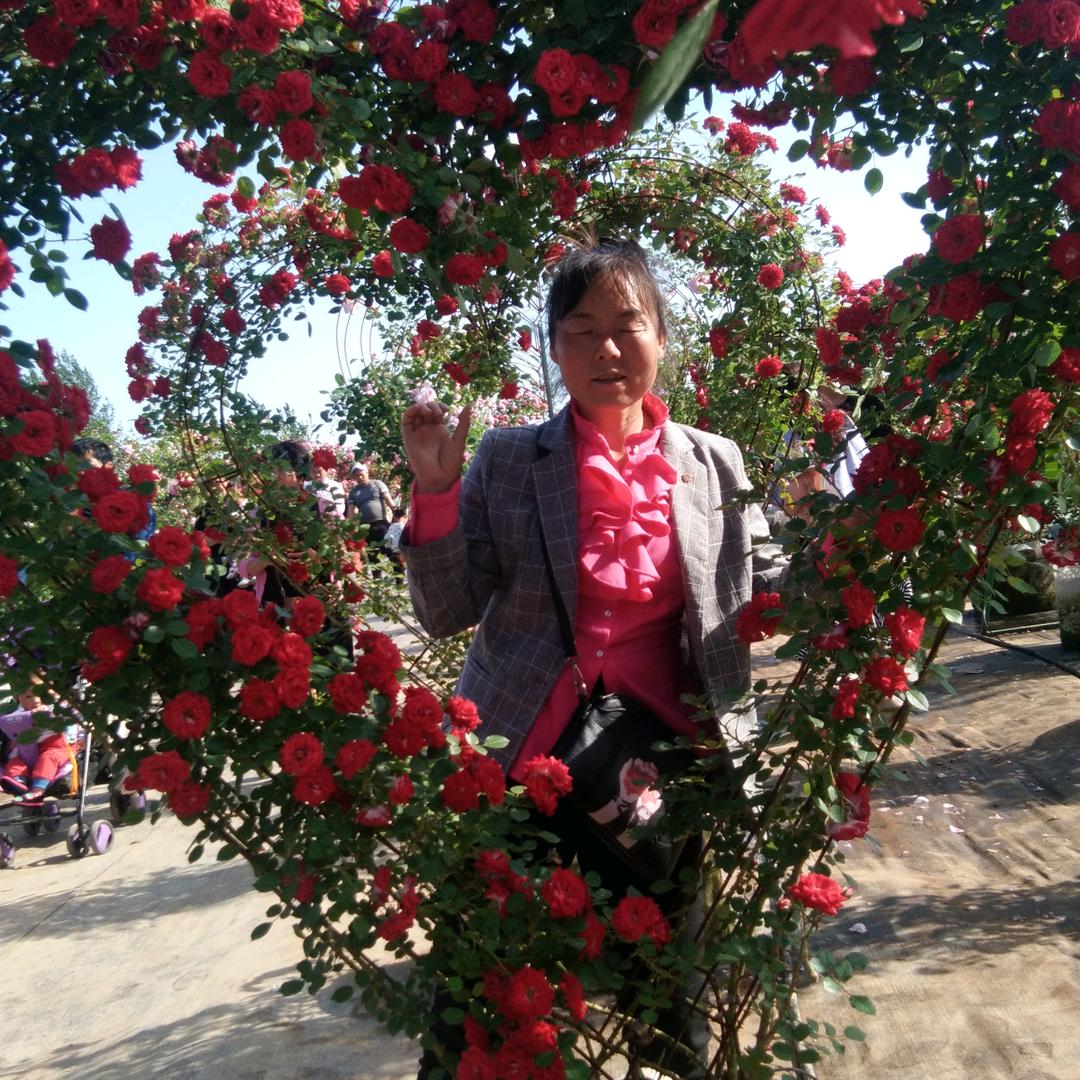 🍓开心每一天🍓