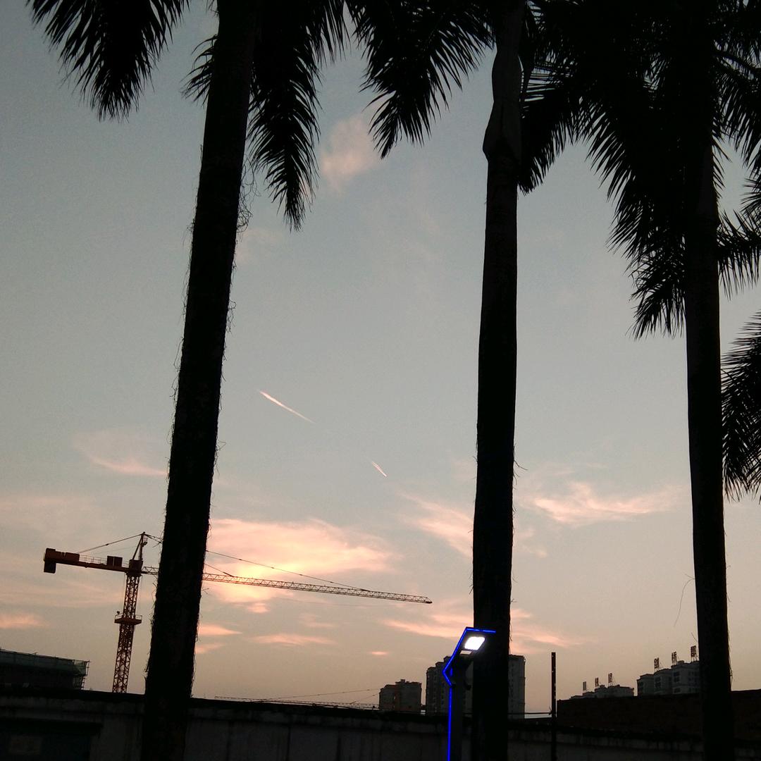 華弟V