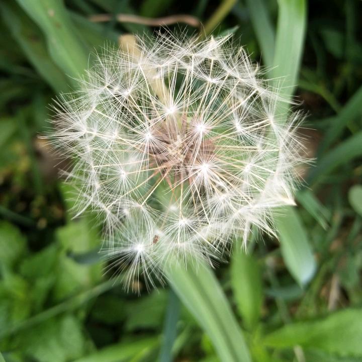空白