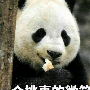 做涂装的安灵法师