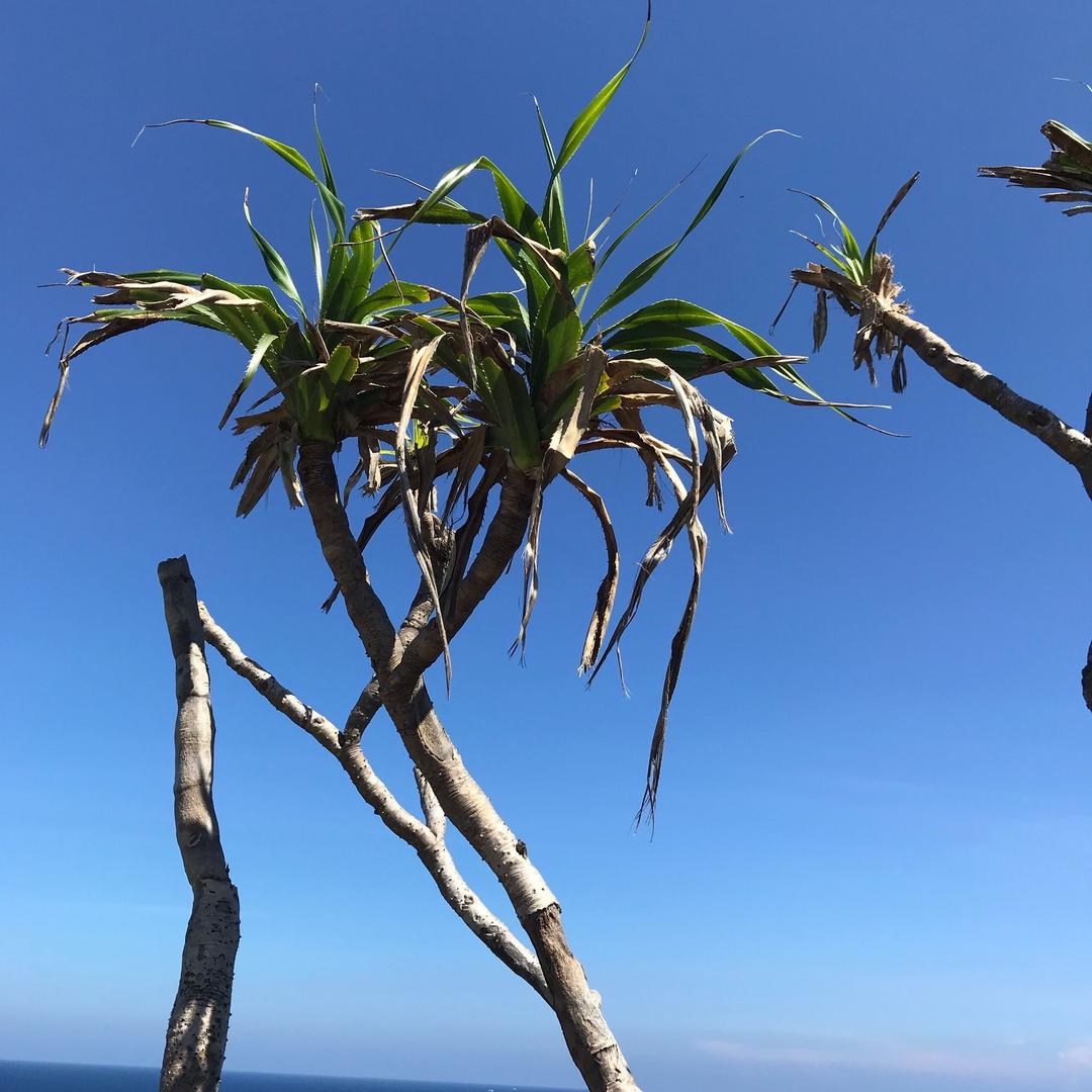 沉默