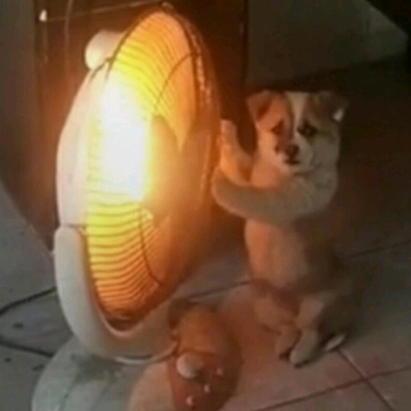 开心每一天