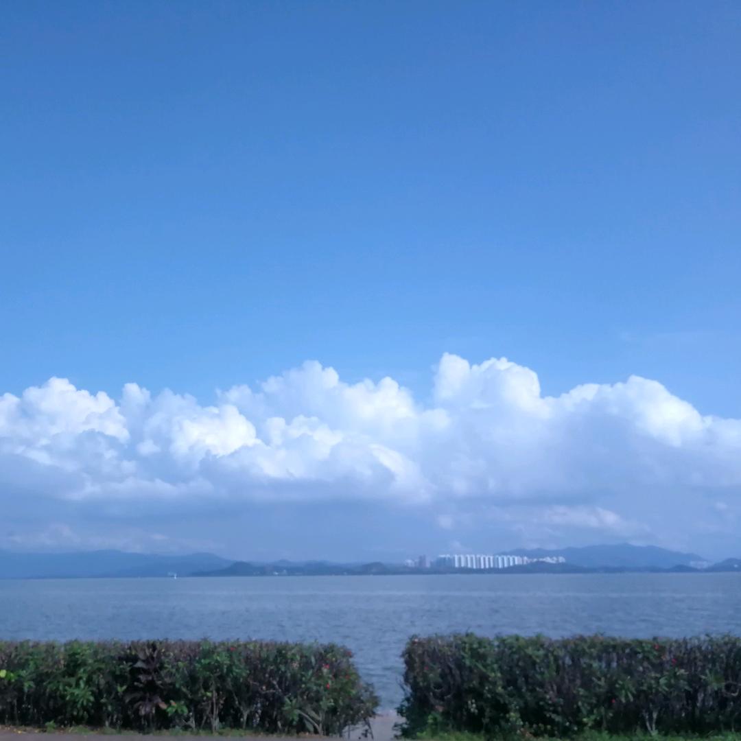 暴打柠檬茶