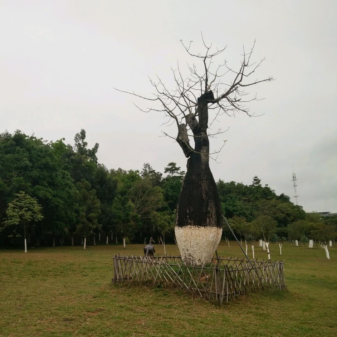 想你我的宝贝
