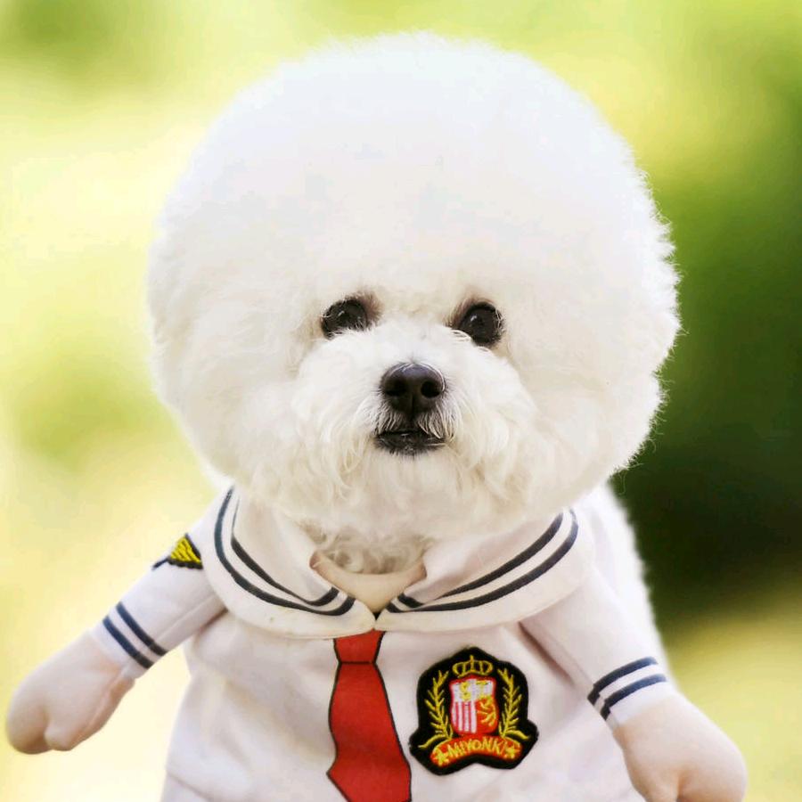 @熊熊
