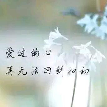 彼岸花🎋