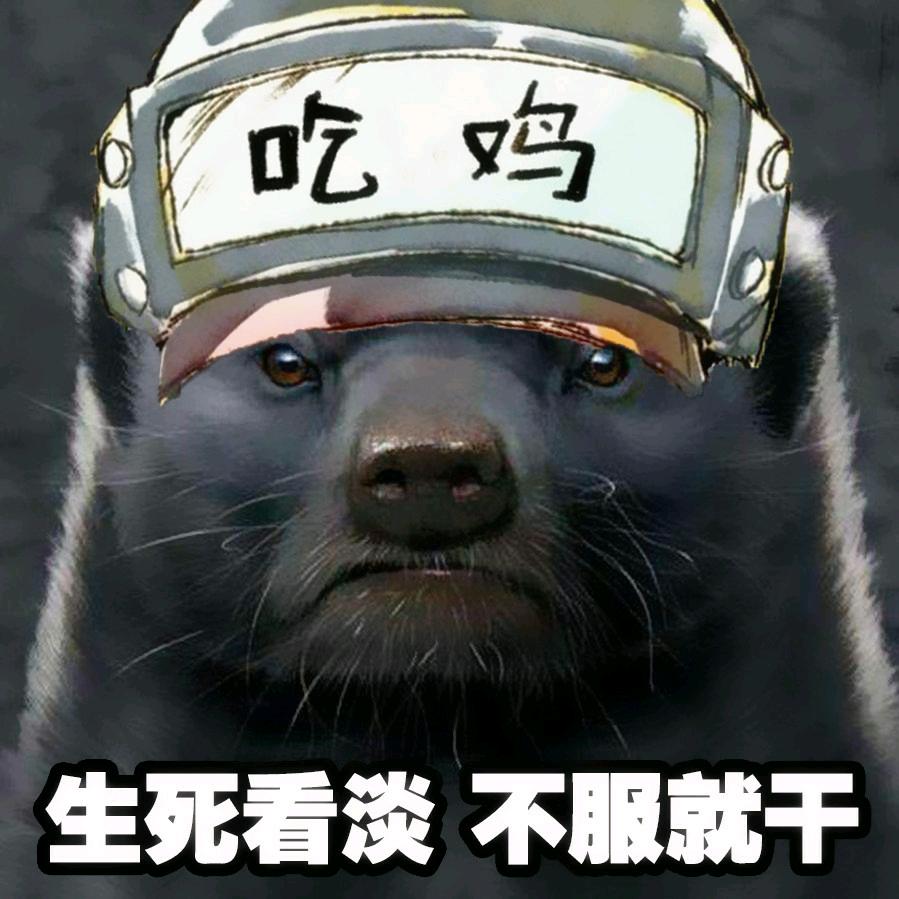 突击手蜜獾@抖音