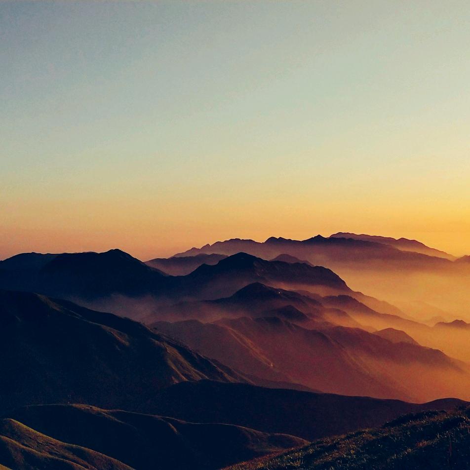 〆、迷途小绵羊