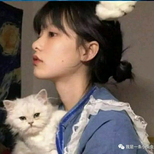 樱桃小完犊子
