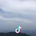 A 笨鸟