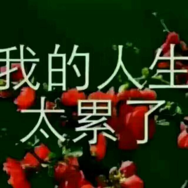 顺其自然
