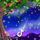 dark🍃🐬moon