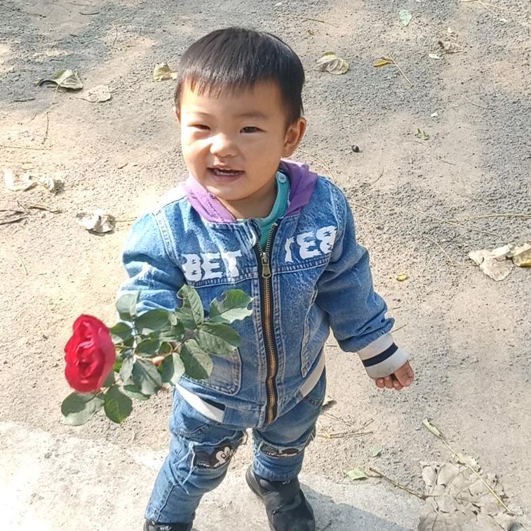 兵哥心