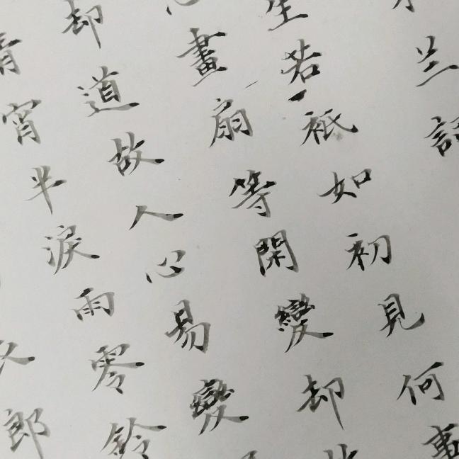 喜欢写字的写字