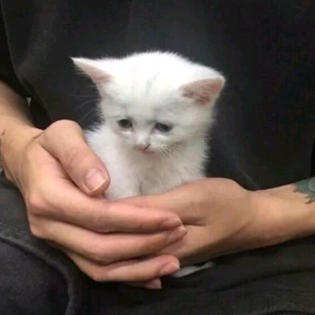 全季酒店（金昌国芳广场店）