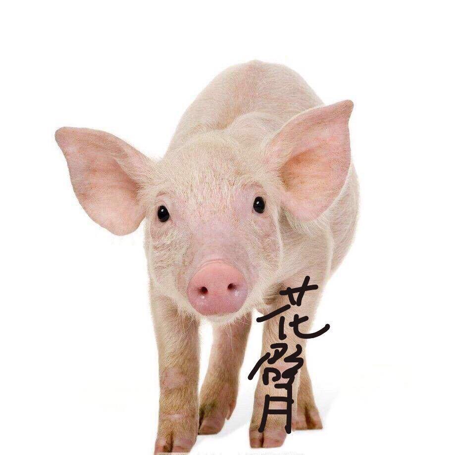不知道。