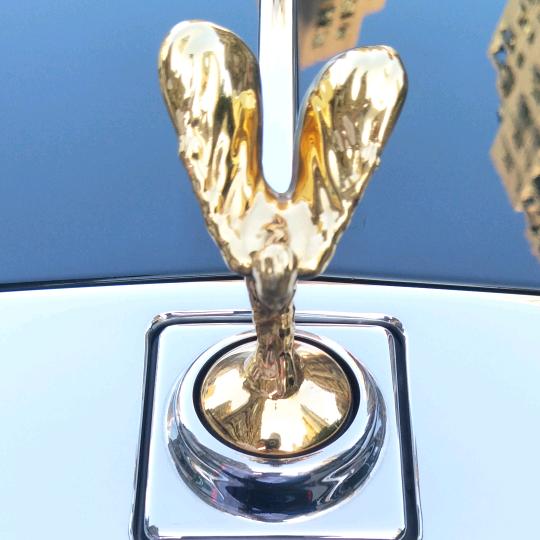 陶治