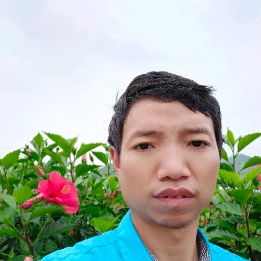 江湖问路