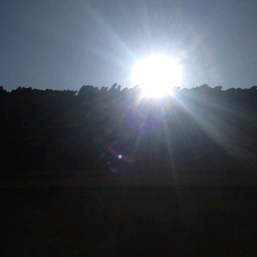 赖教授的搬运工减肥中