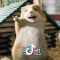 缘来缘