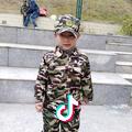 杨家将来也
