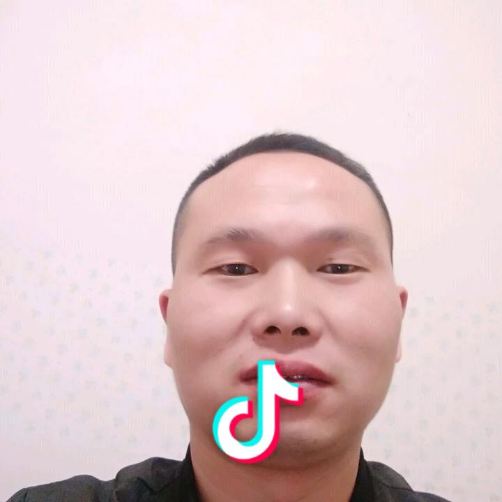 问情何时归