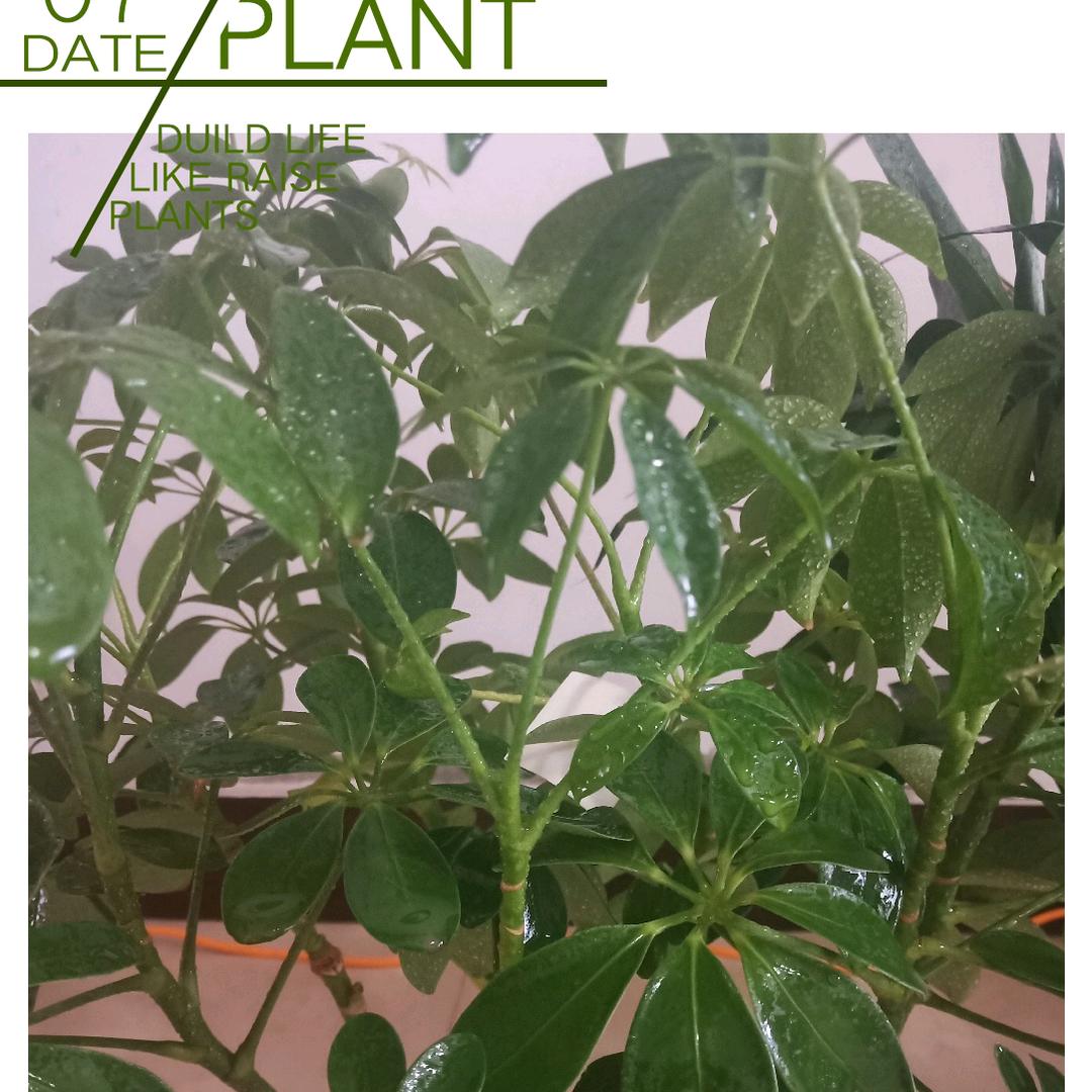 启华工程材料检测