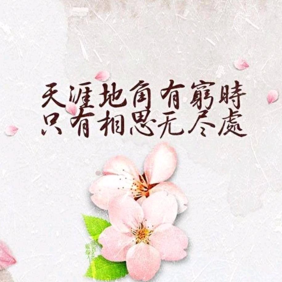 梅梅漂泊在成都