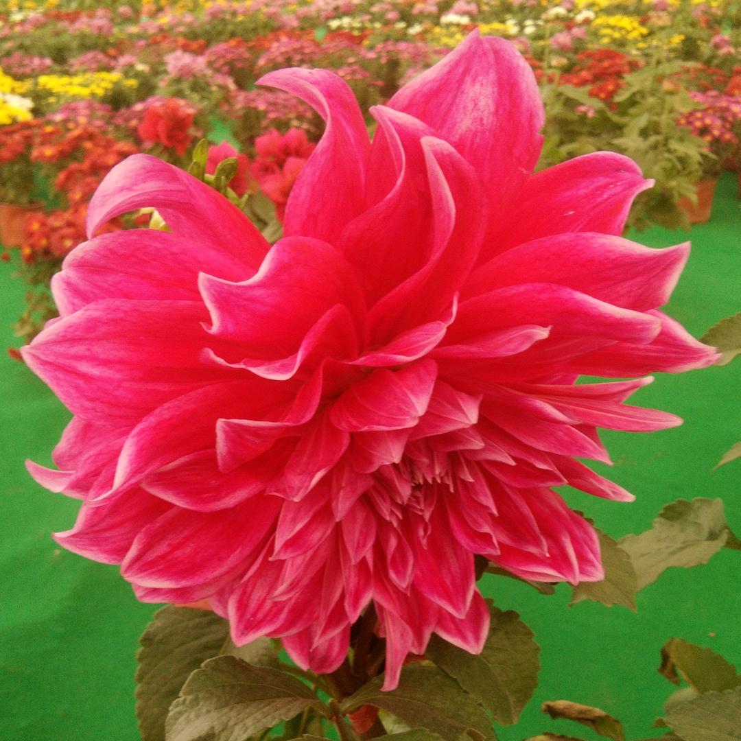 冷暖自知_248963174