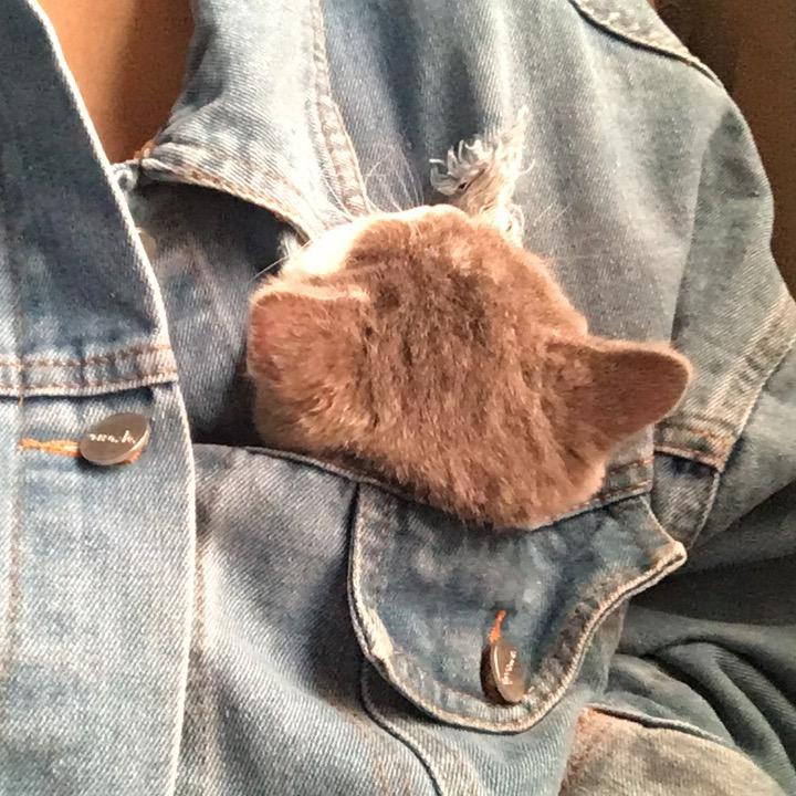 罐罐啊
