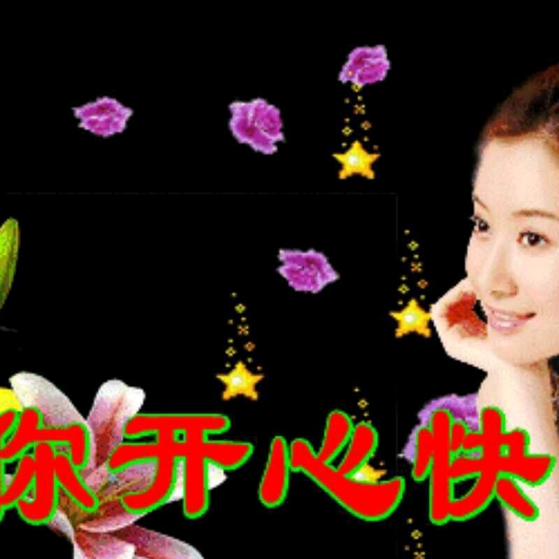 晶瓶一箭兰