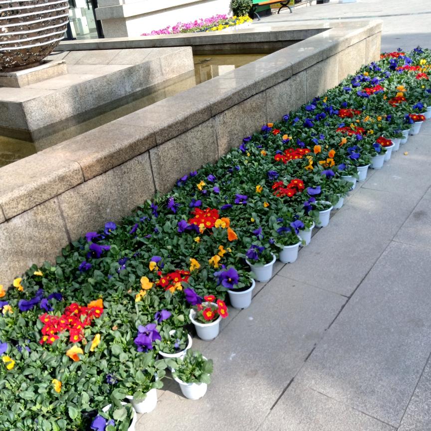 回眸一笑百媚生回眸一笑百媚生