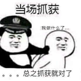 张高秋