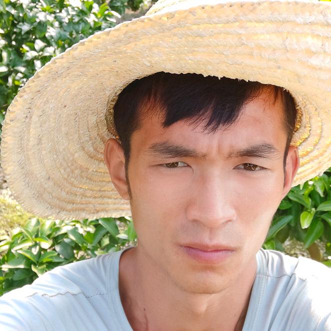 小龙虾阿弟